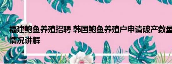 福建鲍鱼养殖招聘 韩国鲍鱼养殖户申请破产数量激增 基本情况讲解