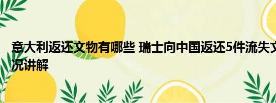 意大利返还文物有哪些 瑞士向中国返还5件流失文物 基本情况讲解