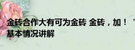 金砖合作大有可为金砖 金砖，加！“金砖 ” 基本情况讲解