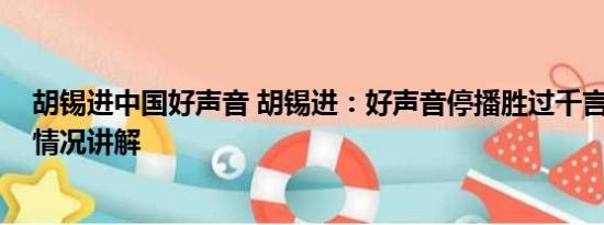 胡锡进中国好声音 胡锡进：好声音停播胜过千言万语 基本情况讲解