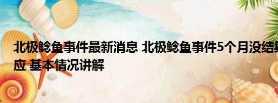 北极鲶鱼事件最新消息 北极鲶鱼事件5个月没结果？官方回应 基本情况讲解