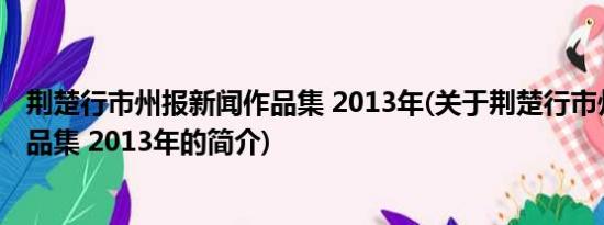 荆楚行市州报新闻作品集 2013年(关于荆楚行市州报新闻作品集 2013年的简介)