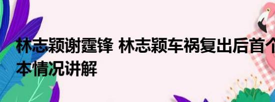 林志颖谢霆锋 林志颖车祸复出后首个舞台 基本情况讲解