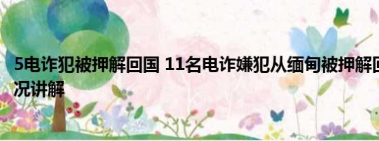 5电诈犯被押解回国 11名电诈嫌犯从缅甸被押解回国 基本情况讲解