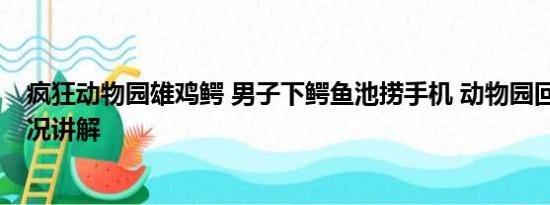 疯狂动物园雄鸡鳄 男子下鳄鱼池捞手机 动物园回应 基本情况讲解