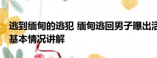 逃到缅甸的逃犯 缅甸逃回男子曝出活埋视频 基本情况讲解