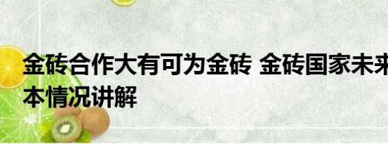 金砖合作大有可为金砖 金砖国家未来可期 基本情况讲解