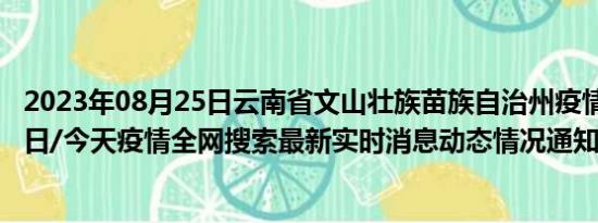 2023年08月25日云南省文山壮族苗族自治州疫情大数据-今日/今天疫情全网搜索最新实时消息动态情况通知播报