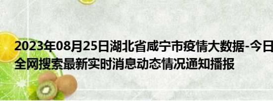 2023年08月25日湖北省咸宁市疫情大数据-今日/今天疫情全网搜索最新实时消息动态情况通知播报