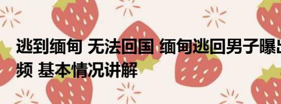 逃到缅甸 无法回国 缅甸逃回男子曝出活埋视频 基本情况讲解