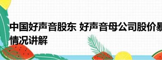 中国好声音股东 好声音母公司股价暴跌 基本情况讲解