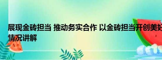 展现金砖担当 推动务实合作 以金砖担当开创美好未来 基本情况讲解