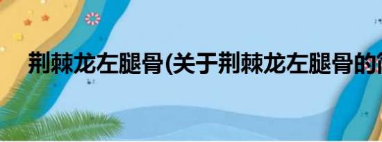 荆棘龙左腿骨(关于荆棘龙左腿骨的简介)