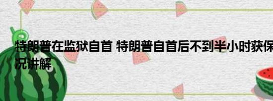 特朗普在监狱自首 特朗普自首后不到半小时获保释 基本情况讲解