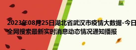 2023年08月25日湖北省武汉市疫情大数据-今日/今天疫情全网搜索最新实时消息动态情况通知播报