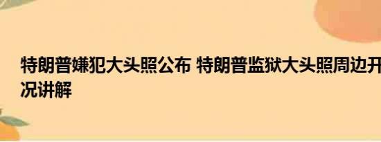 特朗普嫌犯大头照公布 特朗普监狱大头照周边开卖 基本情况讲解