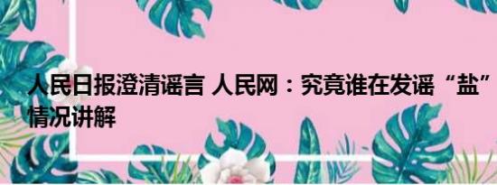 人民日报澄清谣言 人民网：究竟谁在发谣“盐”财？ 基本情况讲解