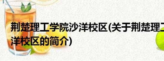 荆楚理工学院沙洋校区(关于荆楚理工学院沙洋校区的简介)