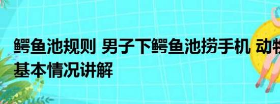 鳄鱼池规则 男子下鳄鱼池捞手机 动物园回应 基本情况讲解