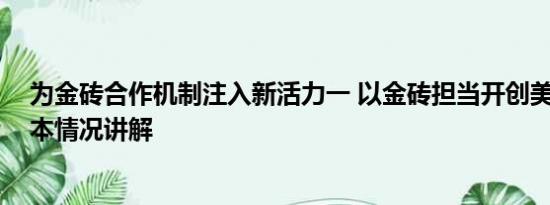 为金砖合作机制注入新活力一 以金砖担当开创美好未来 基本情况讲解