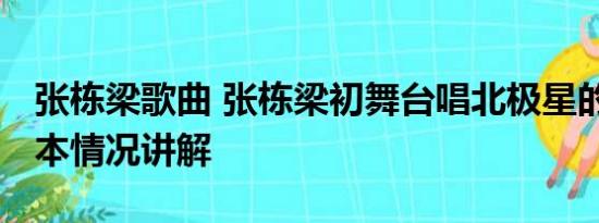 张栋梁歌曲 张栋梁初舞台唱北极星的眼泪 基本情况讲解