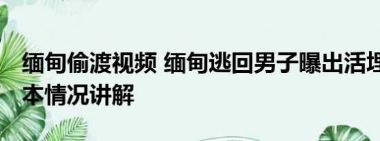 缅甸偷渡视频 缅甸逃回男子曝出活埋视频 基本情况讲解