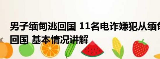 男子缅甸逃回国 11名电诈嫌犯从缅甸被押解回国 基本情况讲解