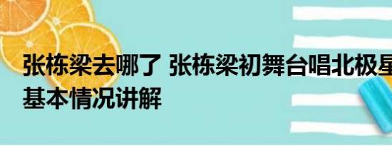 张栋梁去哪了 张栋梁初舞台唱北极星的眼泪 基本情况讲解