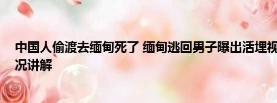 中国人偷渡去缅甸死了 缅甸逃回男子曝出活埋视频 基本情况讲解