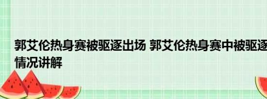 郭艾伦热身赛被驱逐出场 郭艾伦热身赛中被驱逐出场 基本情况讲解