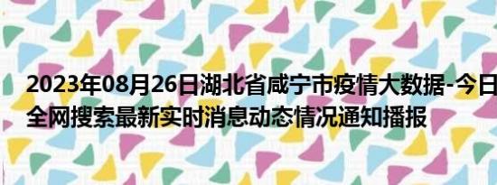 2023年08月26日湖北省咸宁市疫情大数据-今日/今天疫情全网搜索最新实时消息动态情况通知播报