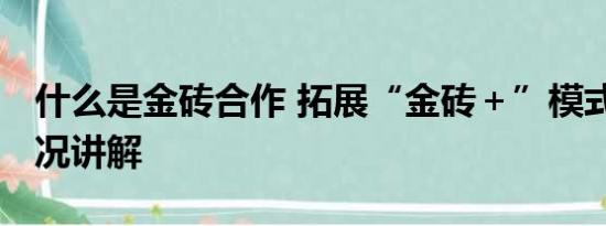 什么是金砖合作 拓展“金砖＋”模式 基本情况讲解