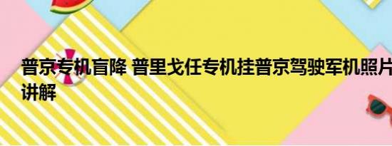 普京专机盲降 普里戈任专机挂普京驾驶军机照片 基本情况讲解