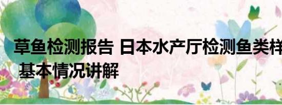 草鱼检测报告 日本水产厅检测鱼类样本仅2条 基本情况讲解