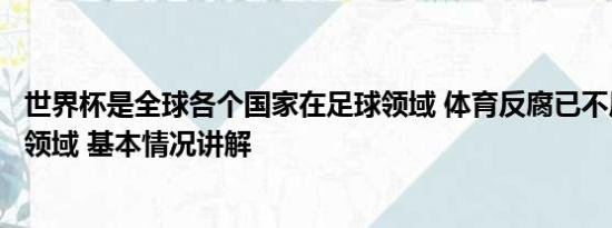 世界杯是全球各个国家在足球领域 体育反腐已不局限于足球领域 基本情况讲解