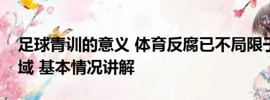 足球青训的意义 体育反腐已不局限于足球领域 基本情况讲解