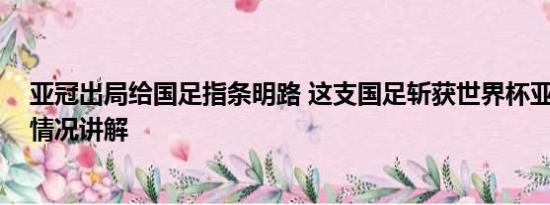 亚冠出局给国足指条明路 这支国足斩获世界杯亚军！ 基本情况讲解