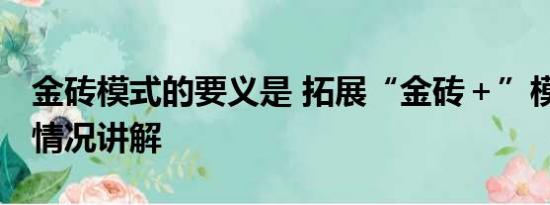 金砖模式的要义是 拓展“金砖＋”模式 基本情况讲解