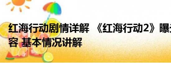 红海行动剧情详解 《红海行动2》曝光主演阵容 基本情况讲解