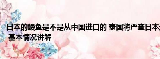 日本的鳗鱼是不是从中国进口的 泰国将严查日本进口海产品 基本情况讲解