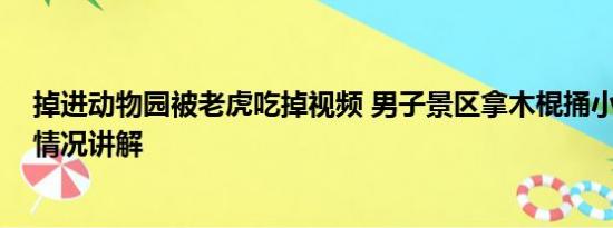 掉进动物园被老虎吃掉视频 男子景区拿木棍捅小老虎 基本情况讲解