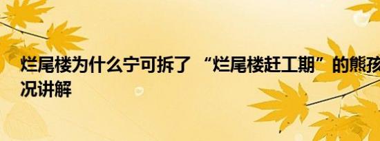 烂尾楼为什么宁可拆了 “烂尾楼赶工期”的熊孩子 基本情况讲解