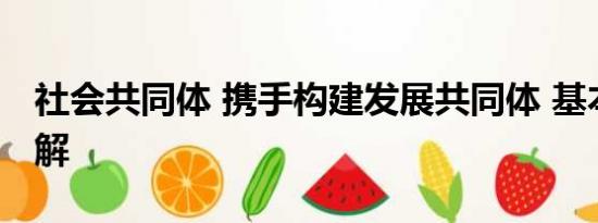 社会共同体 携手构建发展共同体 基本情况讲解