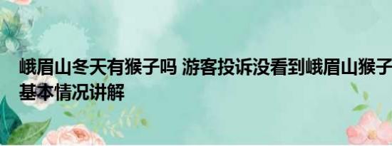 峨眉山冬天有猴子吗 游客投诉没看到峨眉山猴子 景区回应 基本情况讲解