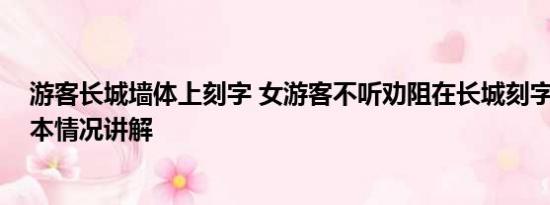 游客长城墙体上刻字 女游客不听劝阻在长城刻字被拘留 基本情况讲解