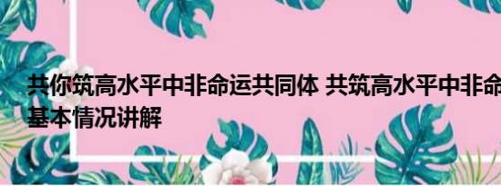 共你筑高水平中非命运共同体 共筑高水平中非命运共同体 基本情况讲解