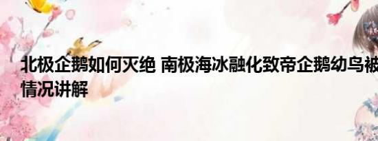 北极企鹅如何灭绝 南极海冰融化致帝企鹅幼鸟被淹死 基本情况讲解