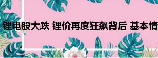 锂电股大跌 锂价再度狂飙背后 基本情况讲解