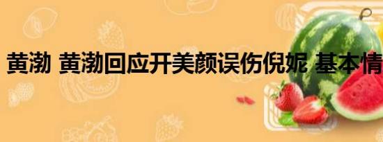 黄渤 黄渤回应开美颜误伤倪妮 基本情况讲解