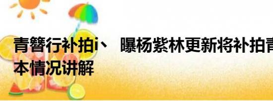 青簪行补拍i丶 曝杨紫林更新将补拍青簪行 基本情况讲解